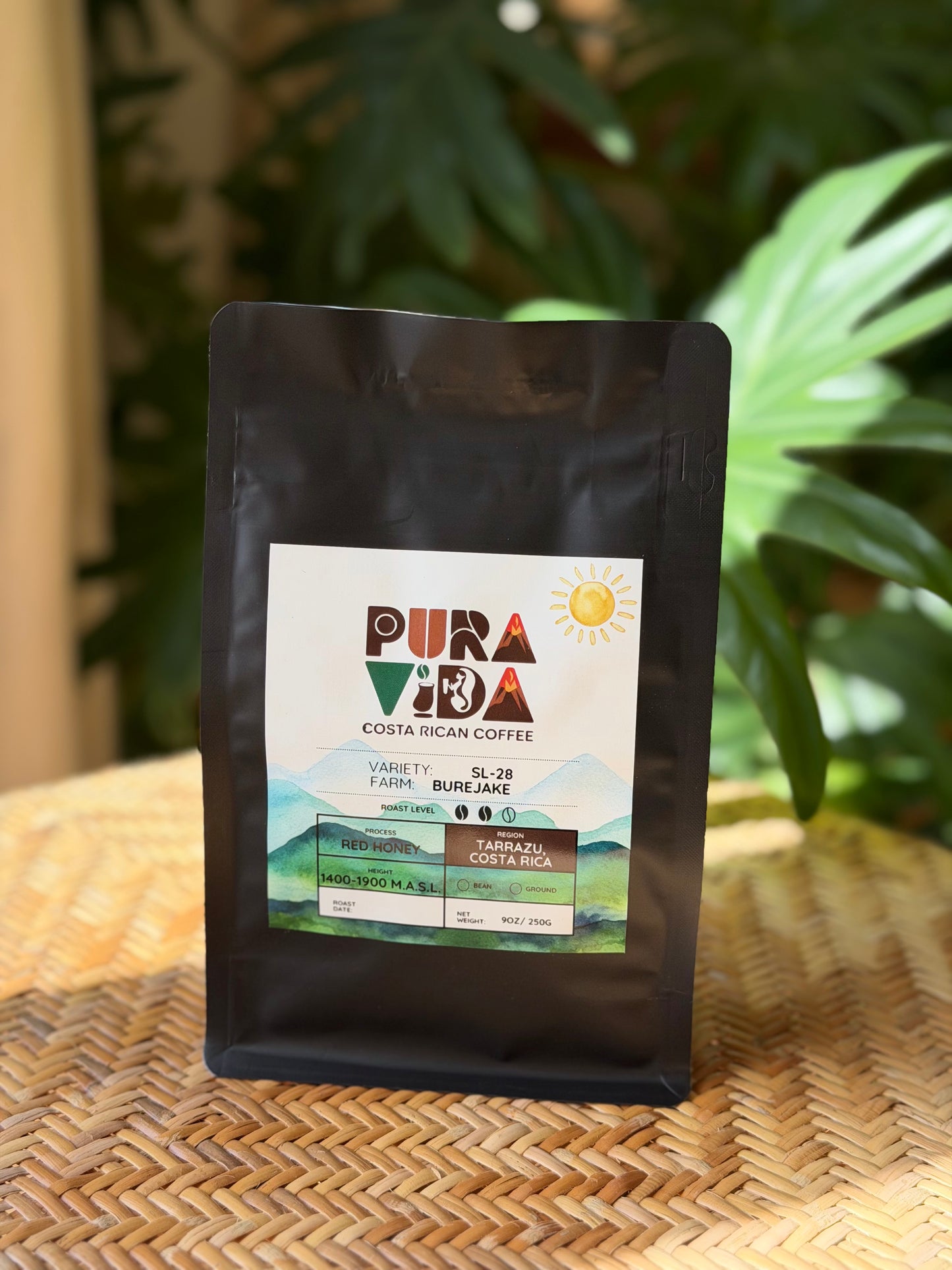 SL-28 Red Honey — Bürejake Farm, Tarrazú Costa Rica Specialty Coffee (250g)