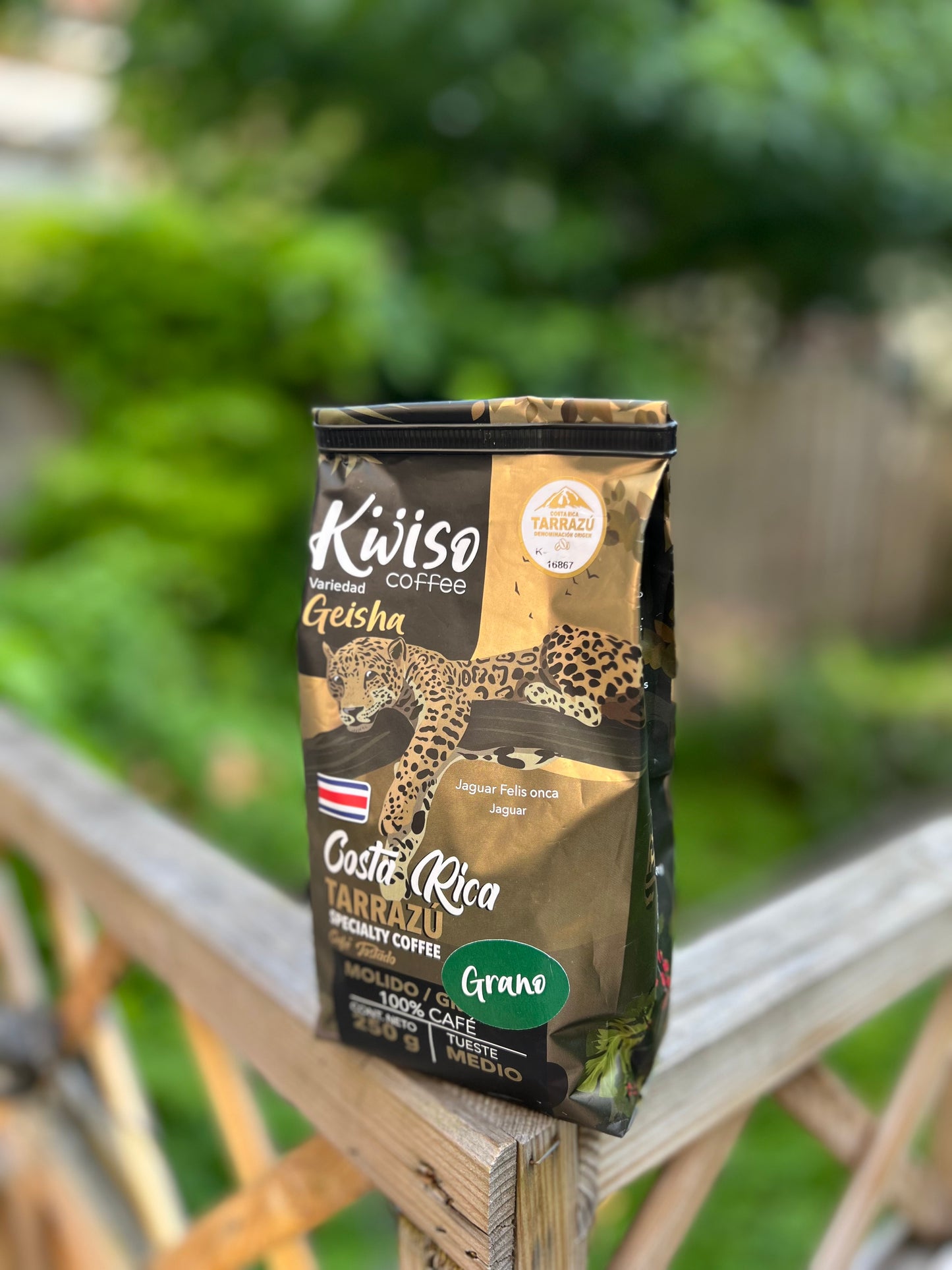 Geisha - Tarrazú, Costa Rica - Specialty Coffee (250g)