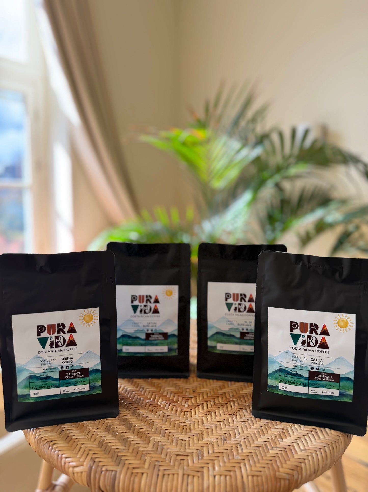 Discovery Bundle — Costa Rican Specialty Coffee (4 × 100g)