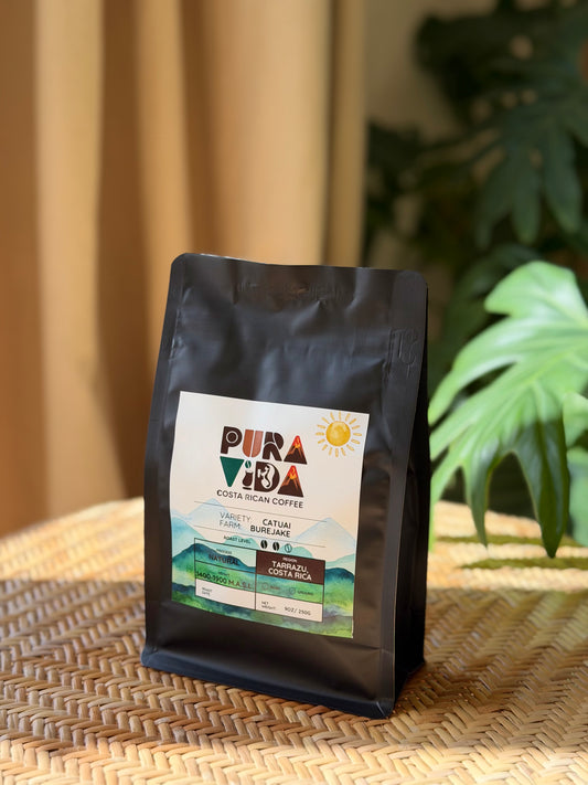 Natural - Tarrazú, Costa Rica - Specialty Coffee (250g)