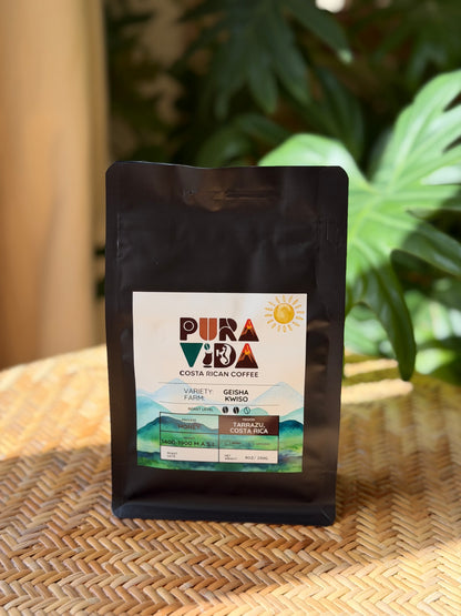 Geisha — Kwiso Farm, Tarrazú Costa Rica Specialty Coffee (250g)