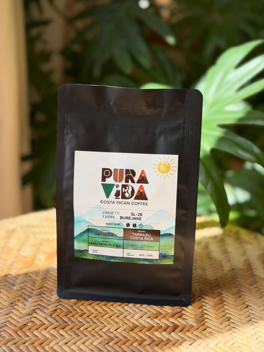 SL-28 Red Honey - Tarrazú, Costa Rica - Specialty Coffee (250g)