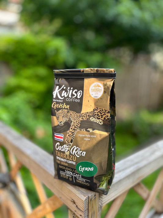 Geisha - Tarrazú, Costa Rica - Specialty Coffee (250g)