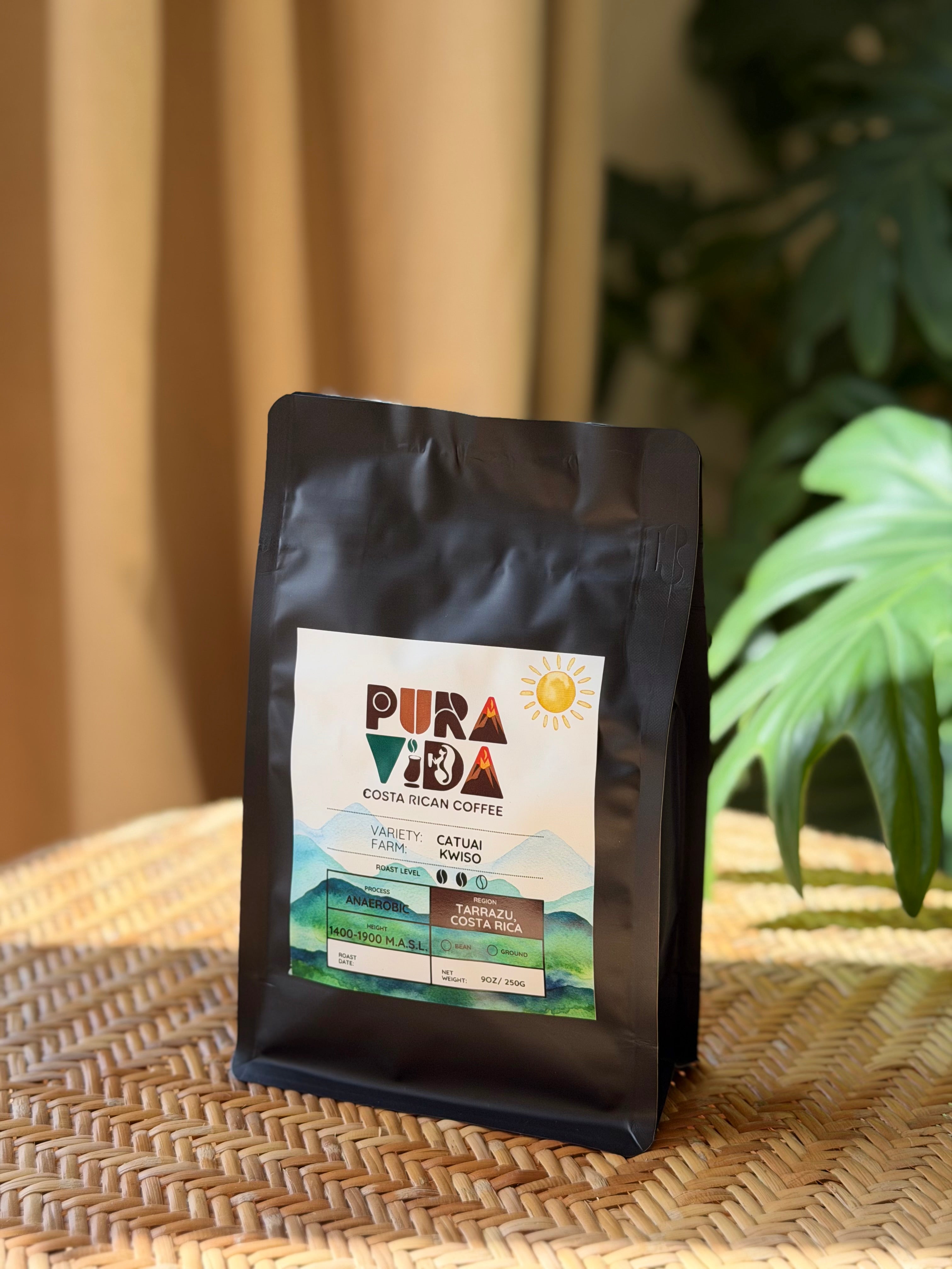 Anaerobic — Kwiso Farm, Tarrazú Costa Rica Specialty Coffee (250g